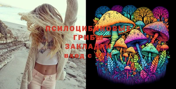 шишки Беломорск