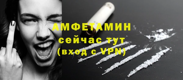 шишки Беломорск