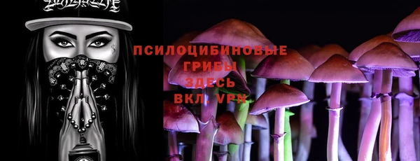 шишки Беломорск