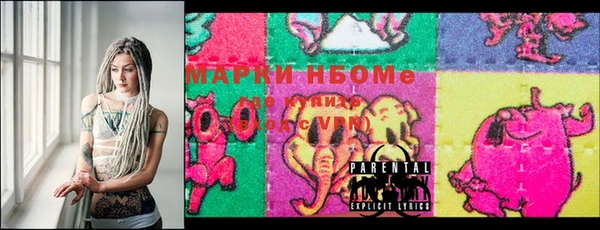 шишки Беломорск